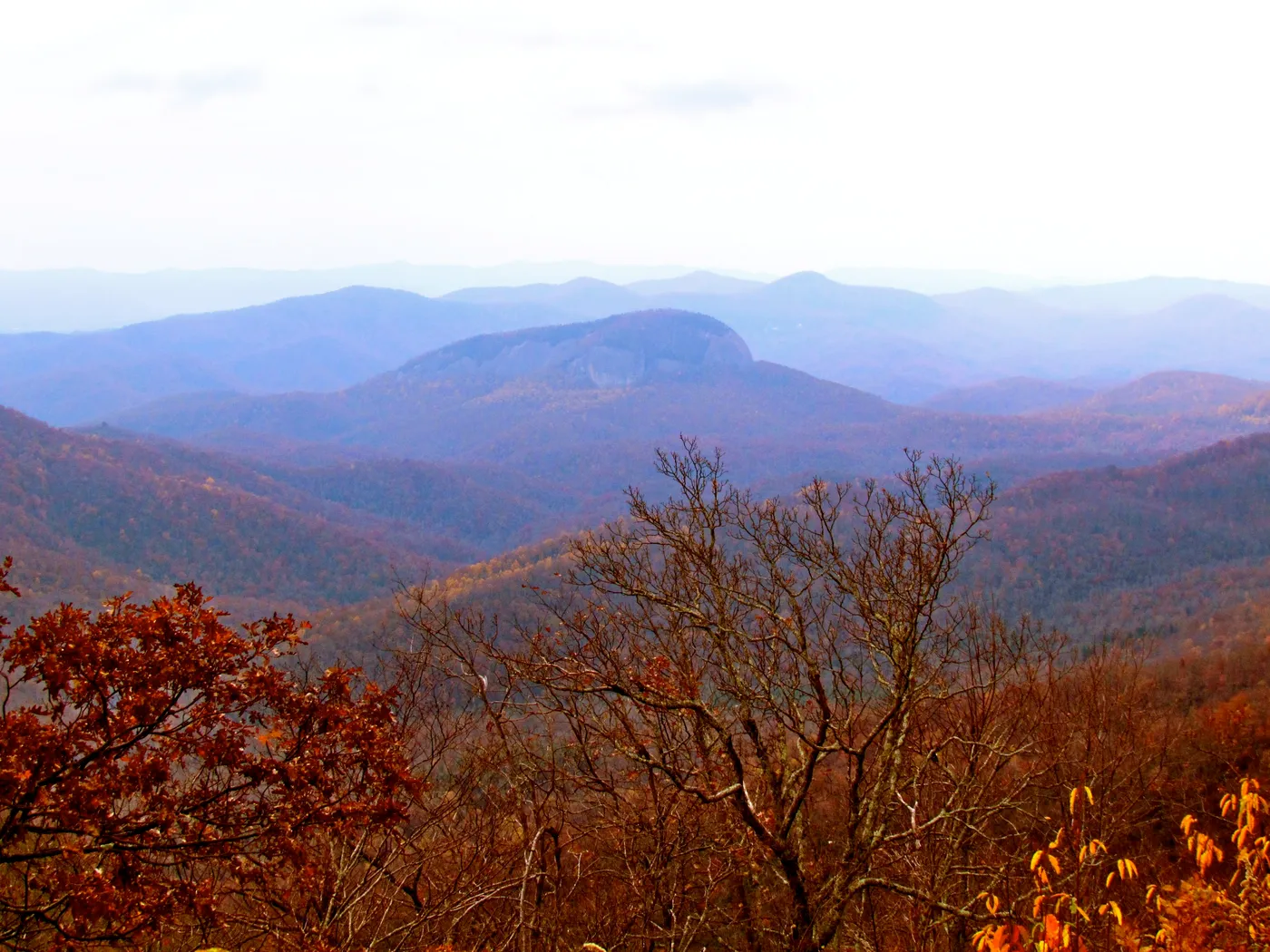 Forested ridges in Pisgah National Forest